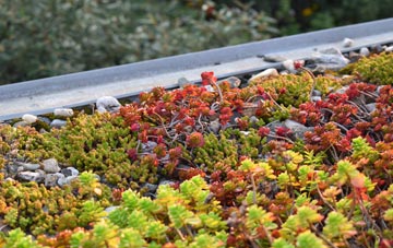 the cost of Glenlochar green roof installation