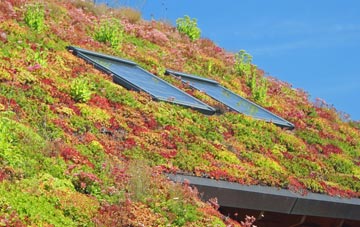 Glenlochar living roof systems