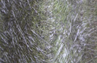 Glenlochar fibreglass roof work